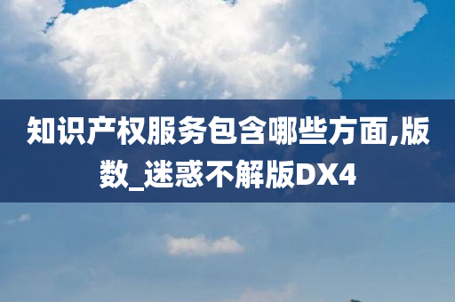 知识产权服务包含哪些方面,版数_迷惑不解版DX4