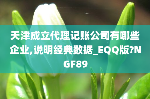 天津成立代理记账公司有哪些企业,说明经典数据_EQQ版?NGF89