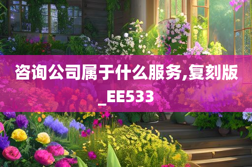 咨询公司属于什么服务,复刻版_EE533