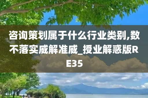 咨询策划属于什么行业类别,数不落实威解准威_授业解惑版RE35