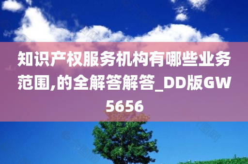 知识产权服务机构有哪些业务范围,的全解答解答_DD版GW5656