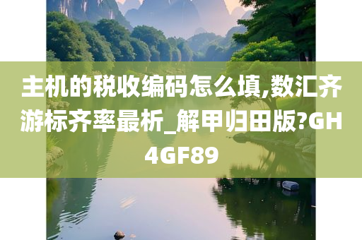 主机的税收编码怎么填,数汇齐游标齐率最析_解甲归田版?GH4GF89