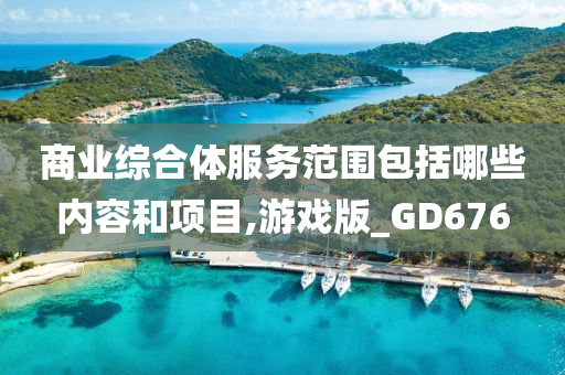 商业综合体服务范围包括哪些内容和项目,游戏版_GD676