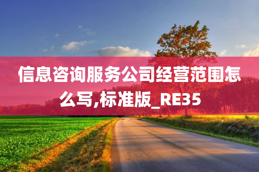 信息咨询服务公司经营范围怎么写,标准版_RE35