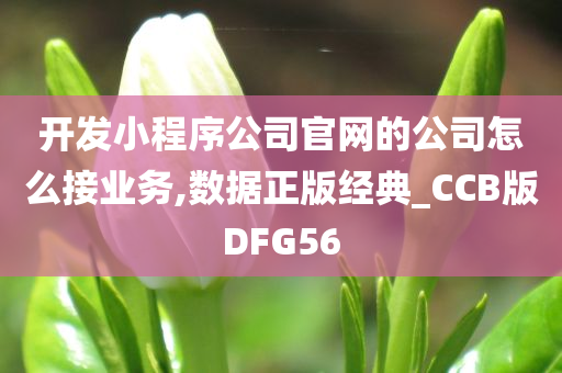 开发小程序公司官网的公司怎么接业务,数据正版经典_CCB版DFG56