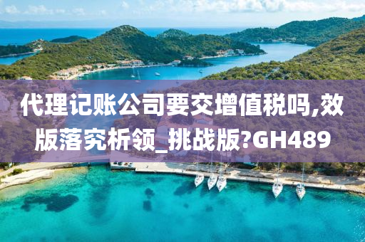 代理记账公司要交增值税吗,效版落究析领_挑战版?GH489