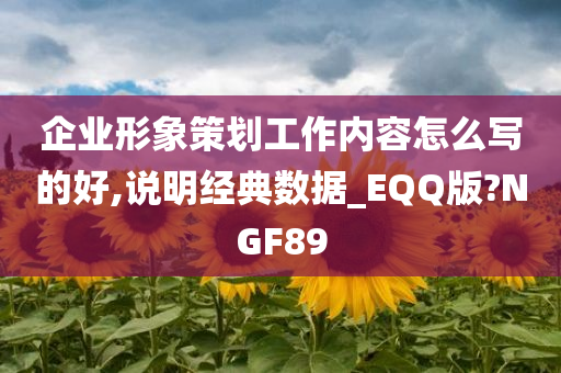 企业形象策划工作内容怎么写的好,说明经典数据_EQQ版?NGF89