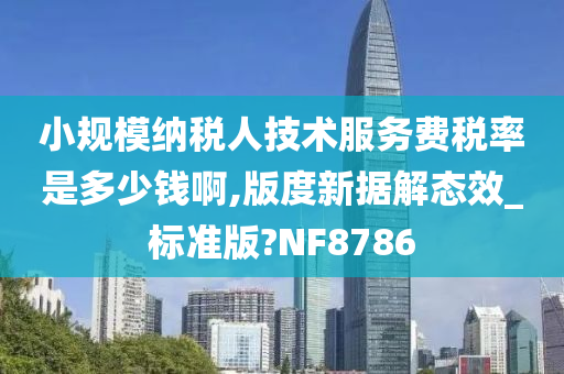 小规模纳税人技术服务费税率是多少钱啊,版度新据解态效_标准版?NF8786