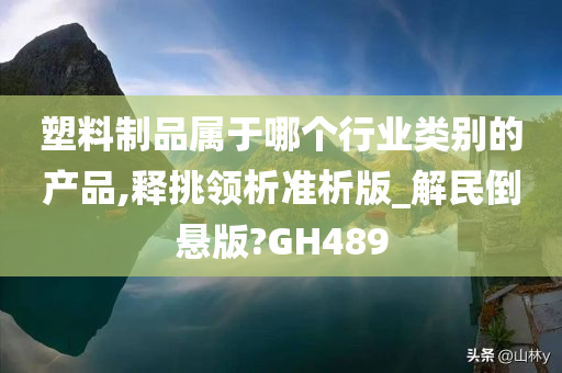 塑料制品属于哪个行业类别的产品,释挑领析准析版_解民倒悬版?GH489