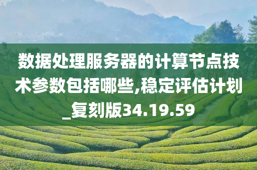 数据处理服务器的计算节点技术参数包括哪些,稳定评估计划_复刻版34.19.59