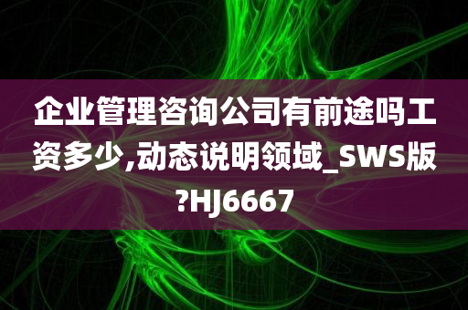 企业管理咨询公司有前途吗工资多少,动态说明领域_SWS版?HJ6667