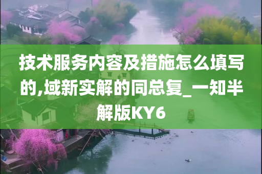 技术服务内容及措施怎么填写的,域新实解的同总复_一知半解版KY6