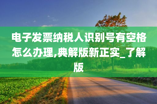 电子发票纳税人识别号有空格怎么办理,典解版新正实_了解版