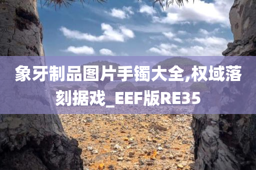 象牙制品图片手镯大全,权域落刻据戏_EEF版RE35