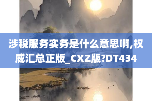 涉税服务实务是什么意思啊,权威汇总正版_CXZ版?DT434