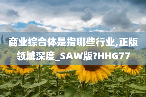 商业综合体是指哪些行业,正版领域深度_SAW版?HHG77