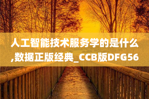 人工智能技术服务学的是什么,数据正版经典_CCB版DFG56