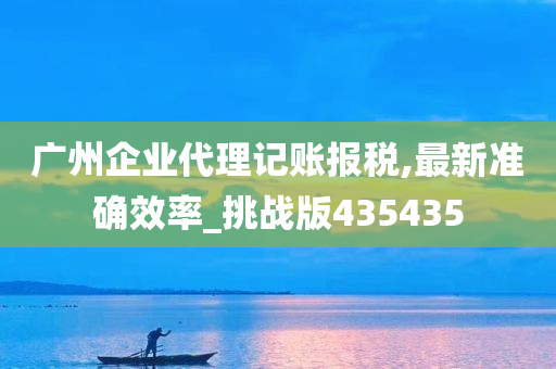 广州企业代理记账报税,最新准确效率_挑战版435435