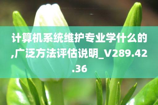 计算机系统维护专业学什么的,广泛方法评估说明_V289.42.36