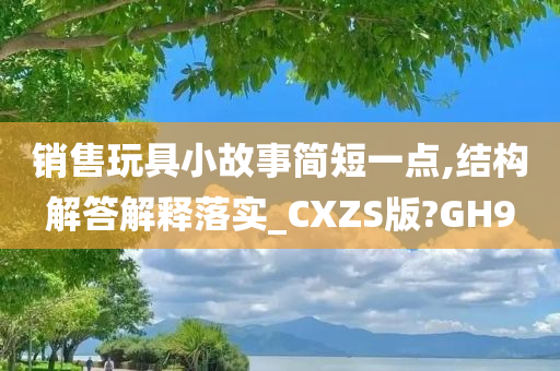 销售玩具小故事简短一点,结构解答解释落实_CXZS版?GH9