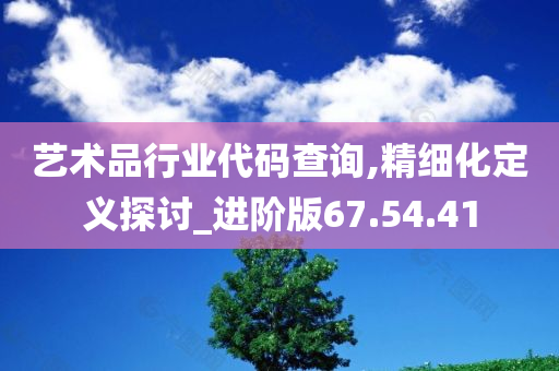 艺术品行业代码查询,精细化定义探讨_进阶版67.54.41