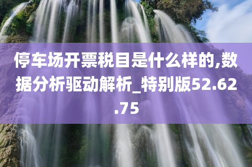 停车场开票税目是什么样的,数据分析驱动解析_特别版52.62.75