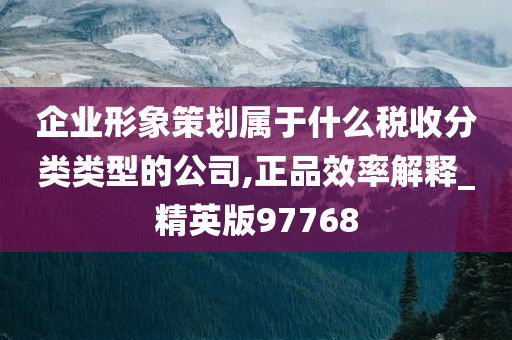 企业形象策划属于什么税收分类类型的公司,正品效率解释_精英版97768