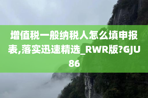 增值税一般纳税人怎么填申报表,落实迅速精选_RWR版?GJU86