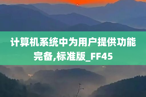 计算机系统中为用户提供功能完备,标准版_FF45