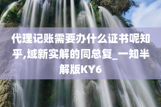 代理记账需要办什么证书呢知乎,域新实解的同总复_一知半解版KY6