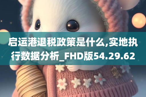 启运港退税政策是什么,实地执行数据分析_FHD版54.29.62