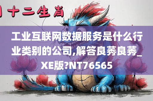 工业互联网数据服务是什么行业类别的公司,解答良莠良莠_XE版?NT76565