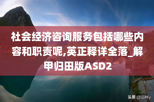 社会经济咨询服务包括哪些内容和职责呢,英正释详全落_解甲归田版ASD2