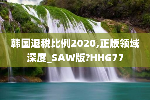 韩国退税比例2020,正版领域深度_SAW版?HHG77