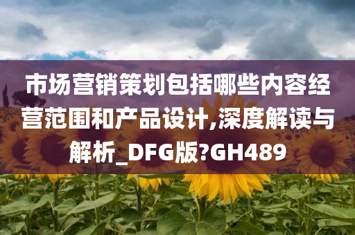 市场营销策划包括哪些内容经营范围和产品设计,深度解读与解析_DFG版?GH489