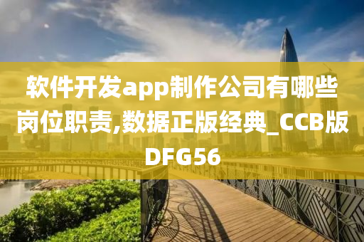 软件开发app制作公司有哪些岗位职责,数据正版经典_CCB版DFG56