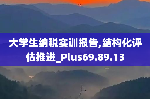 大学生纳税实训报告,结构化评估推进_Plus69.89.13