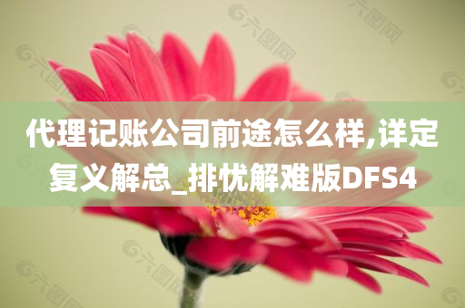 代理记账公司前途怎么样,详定复义解总_排忧解难版DFS4