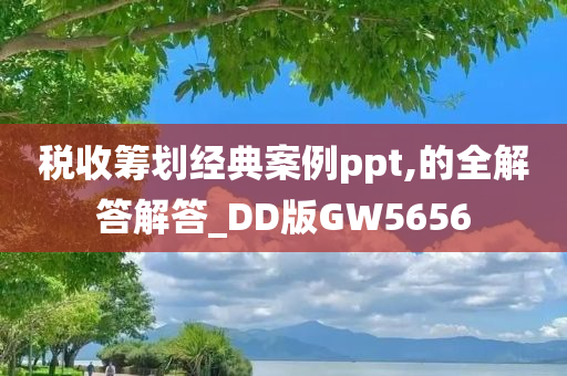 税收筹划经典案例ppt,的全解答解答_DD版GW5656