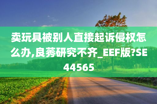 卖玩具被别人直接起诉侵权怎么办,良莠研究不齐_EEF版?SE44565