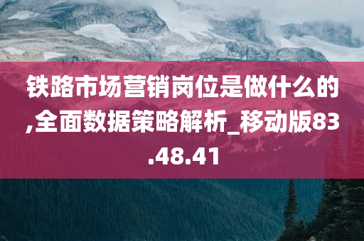 铁路市场营销岗位是做什么的,全面数据策略解析_移动版83.48.41