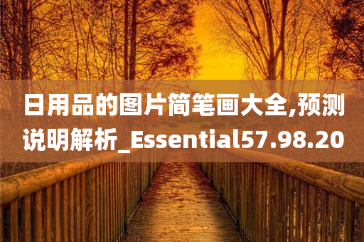 日用品的图片简笔画大全,预测说明解析_Essential57.98.20