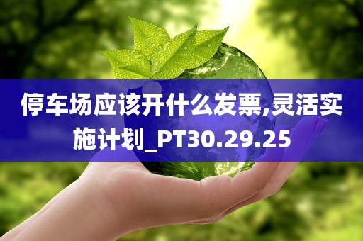 停车场应该开什么发票,灵活实施计划_PT30.29.25