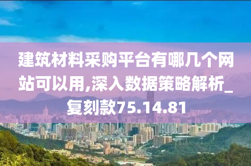 建筑材料采购平台有哪几个网站可以用,深入数据策略解析_复刻款75.14.81