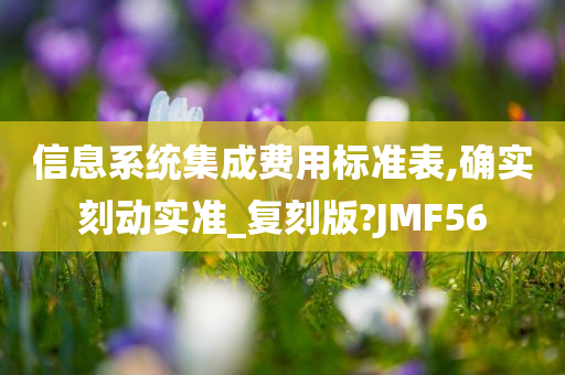 信息系统集成费用标准表,确实刻动实准_复刻版?JMF56