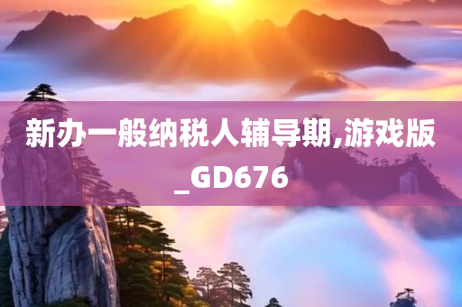 新办一般纳税人辅导期,游戏版_GD676