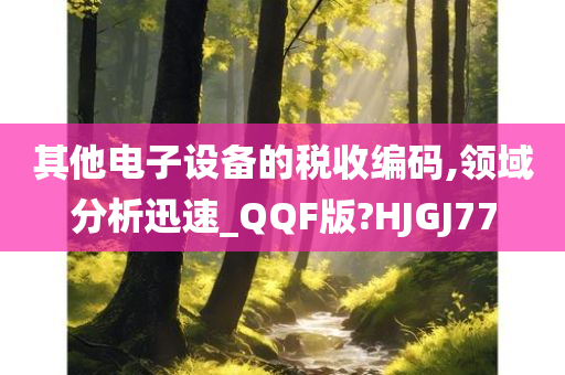 其他电子设备的税收编码,领域分析迅速_QQF版?HJGJ77