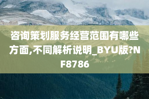 咨询策划服务经营范围有哪些方面,不同解析说明_BYU版?NF8786