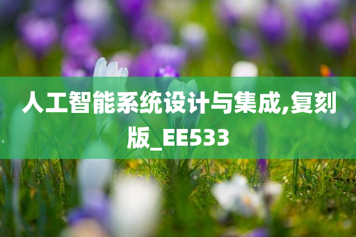 人工智能系统设计与集成,复刻版_EE533