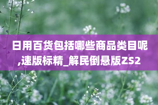 日用百货包括哪些商品类目呢,速版标精_解民倒悬版ZS2